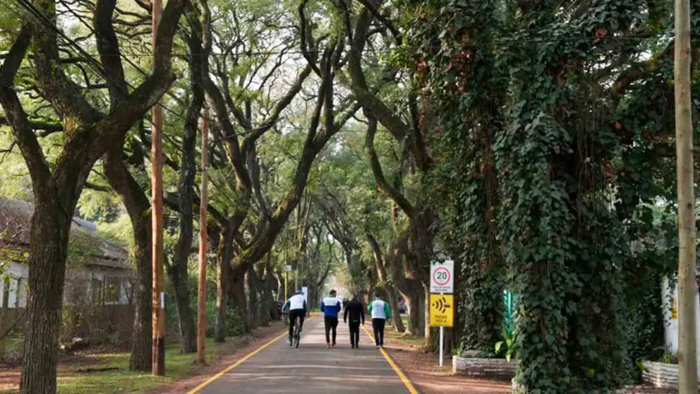 Circuito-Aer&oacute;bico-en